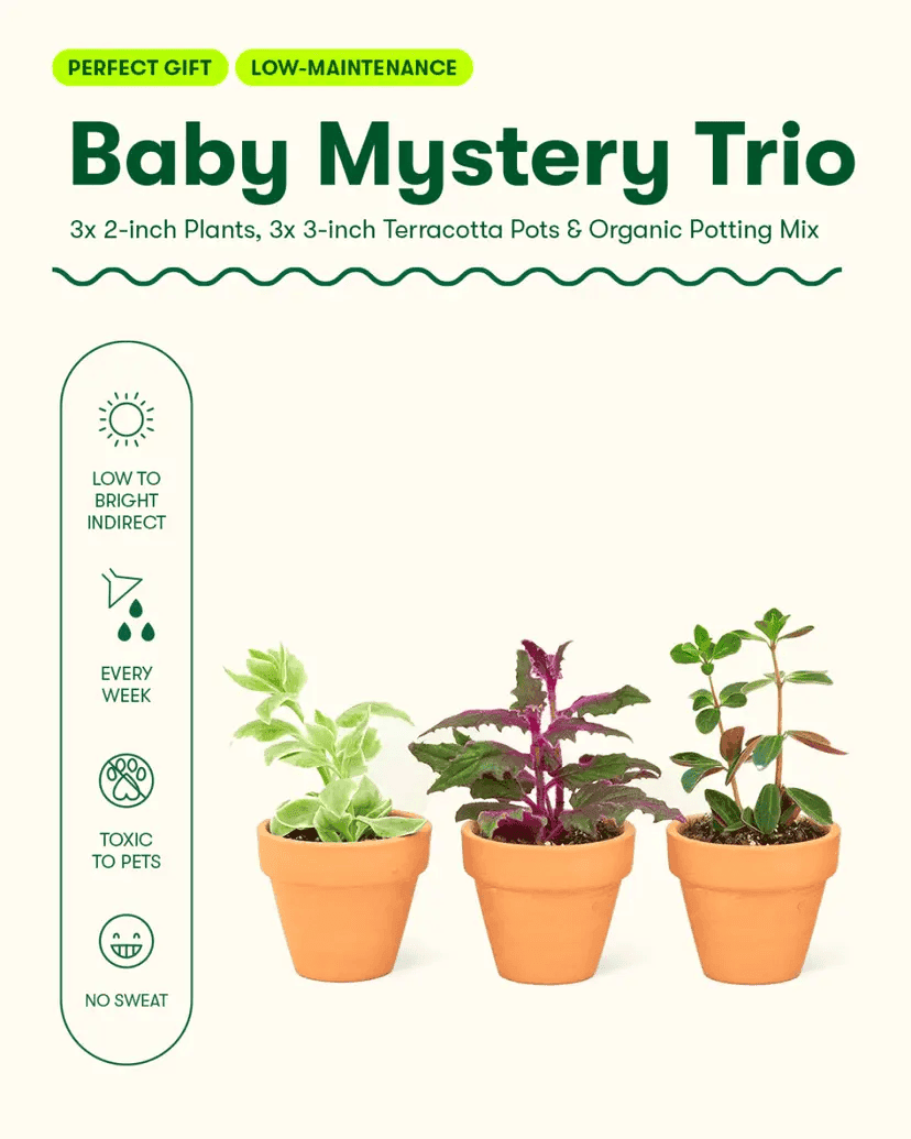 AI generated artwork 5